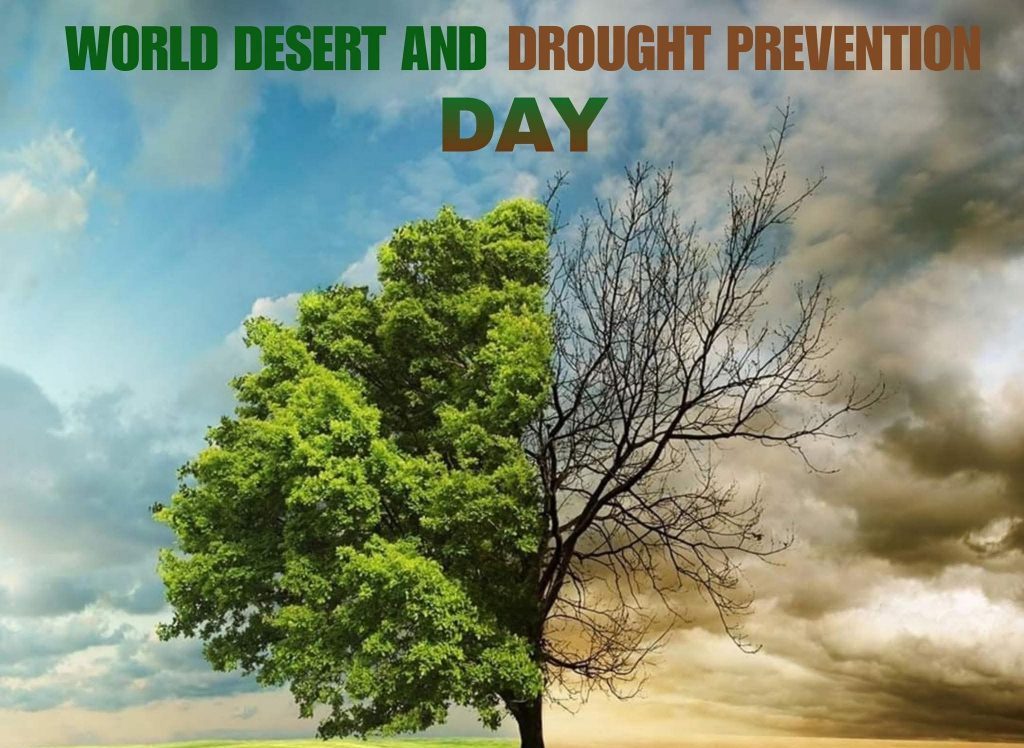 World drought prevention day
